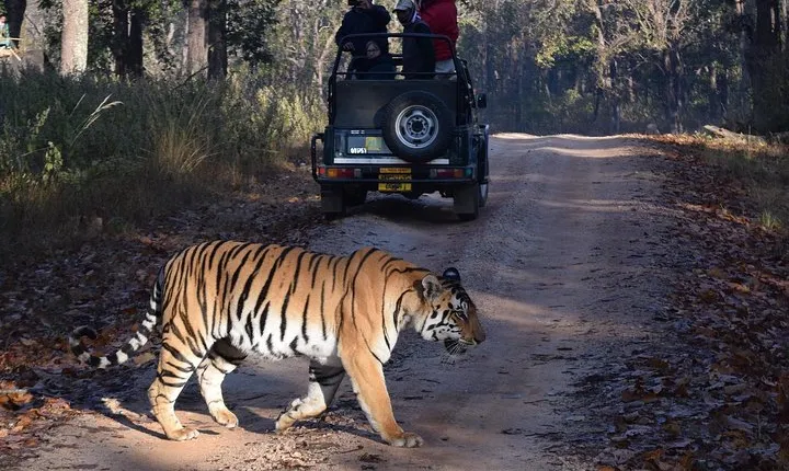 5 Days Golden Triangle Tour with Ranthambore 