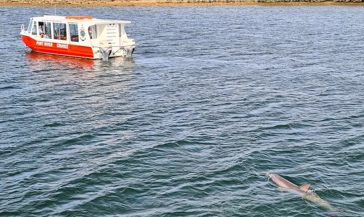 90-Minute Maritime and Dolphins Cruise in Port Adelaide
