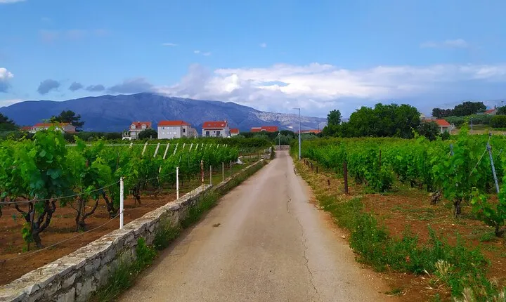 Slurp of Grk Wine Tour