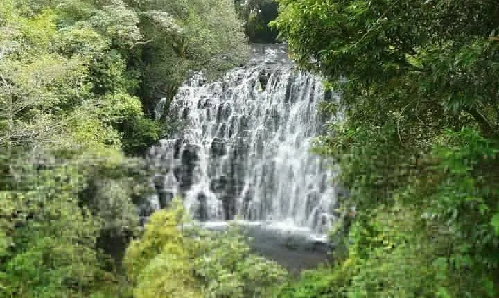 Explore Shillong From Guwahati With Breakfast & Lunch