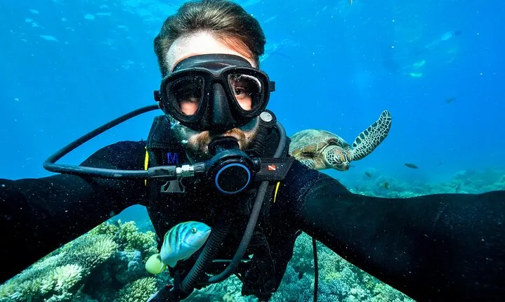 Professional Dives Daily Trip with Transfer & Lunch - Hurghada