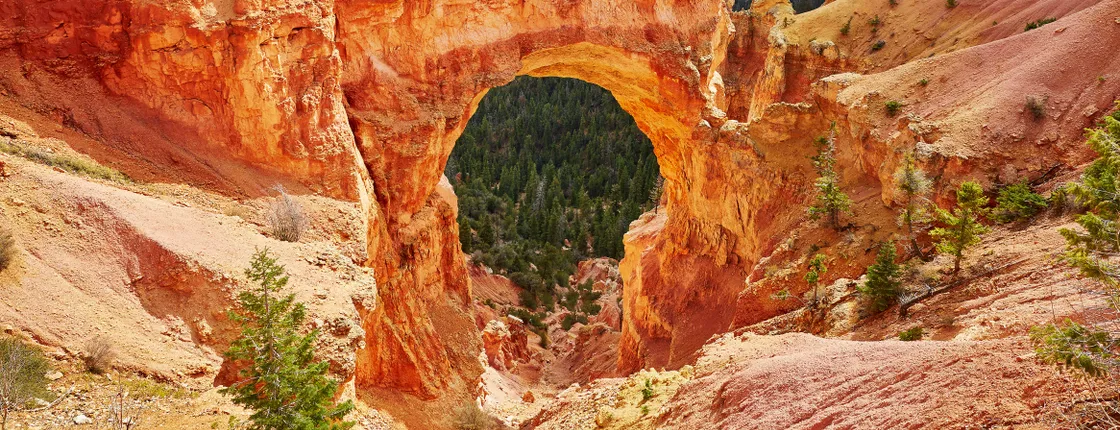 Bryce Canyon's 1.5h Horseback Riding Adventure