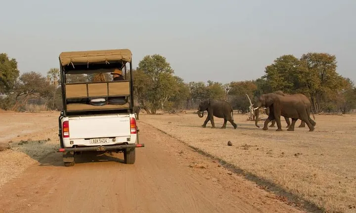 Game Drive and White Rhino Walking Safari in Livingstone