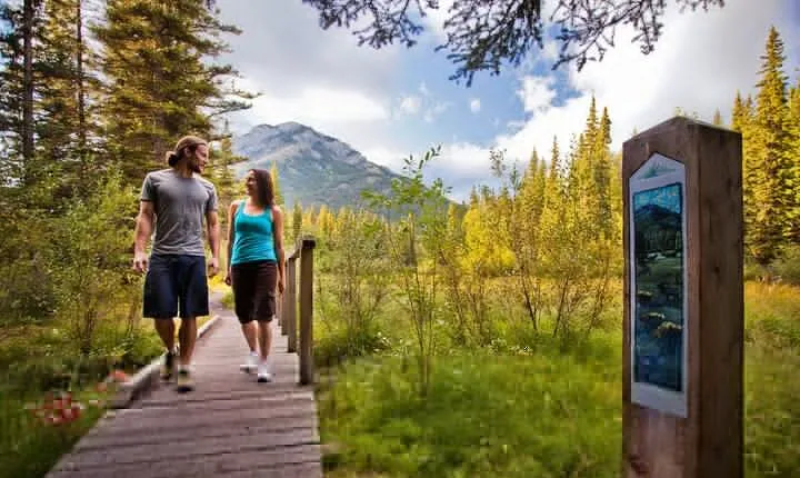 Banff LOST TOWNS and Untold Stories! 2hr Walk + Transportation