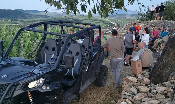 Half Day Tokaj Wine Tasting Tour in Mád Hungary with lunch