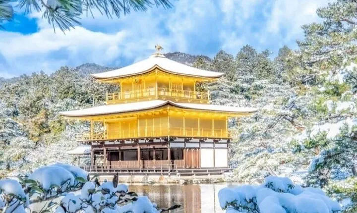 Kyoto World Heritage and Uji Scenery One Day Tour From Kyoto