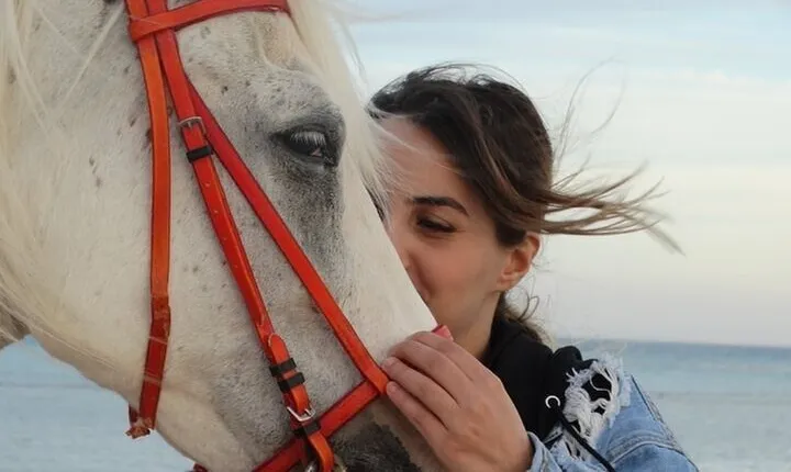 2-Hour Beach Horse Ride in Nabq Bay & transfer – Sharm El Sheikh