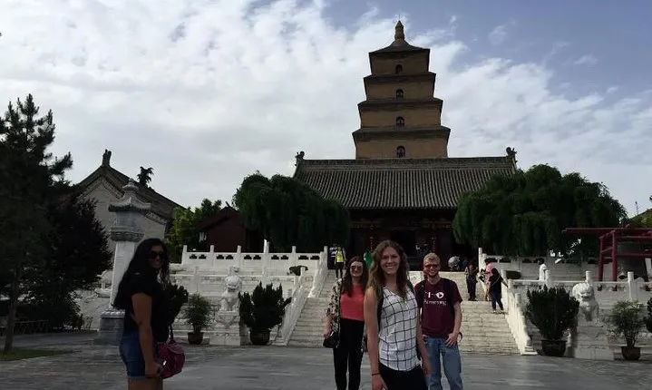 Private Tour of Shaanxi History Museum and Big Wild Goose Pagoda in Half Day