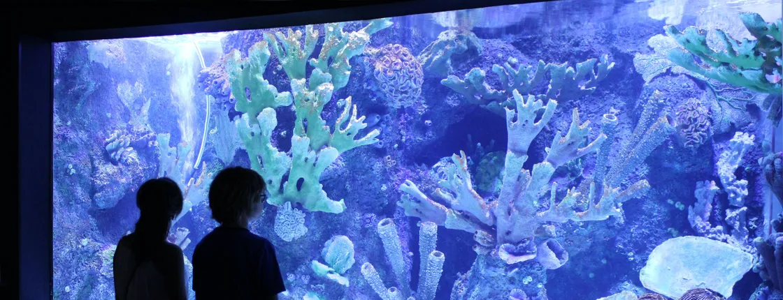 Antalya Aquarium with Shuttle