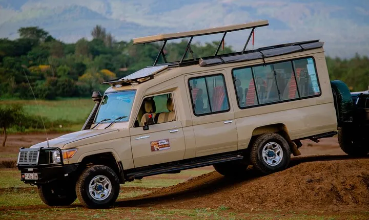 5 days Living Among Lions with Kojuu Safaris - Mid range Lodge