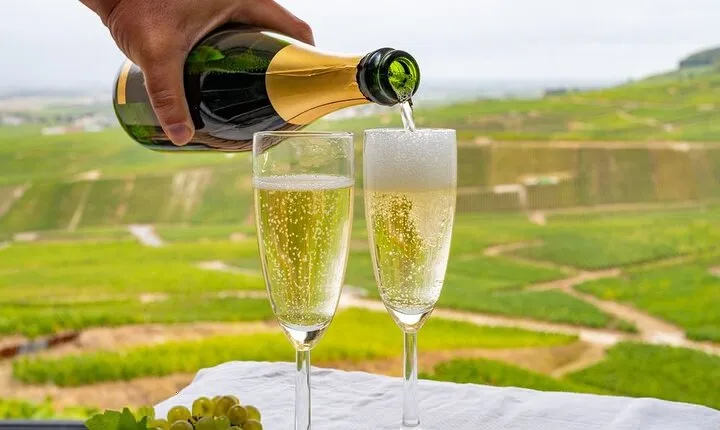 Full-Day Private Champagne Tasting in Reims and its Vineyards