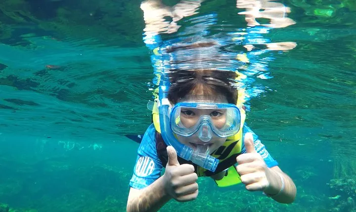 VIP Cenotes Private Tour