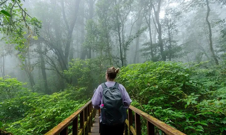 Doi Inthanon Kew Mae Pan Trail Hike from Chiang Mai