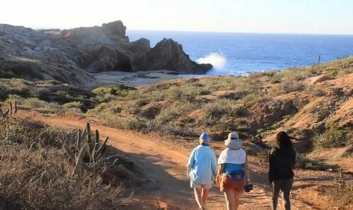 Sunrise Guided Desert Hike in Los Cabos