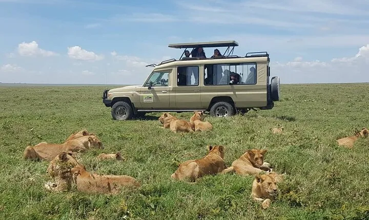 5-Day Northern Tanzania Safari Tour from Arusha