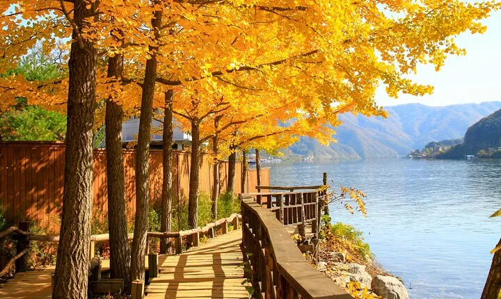 Nami Island Trip with Petite France & Italian Village and Gangchon Rail Bike
