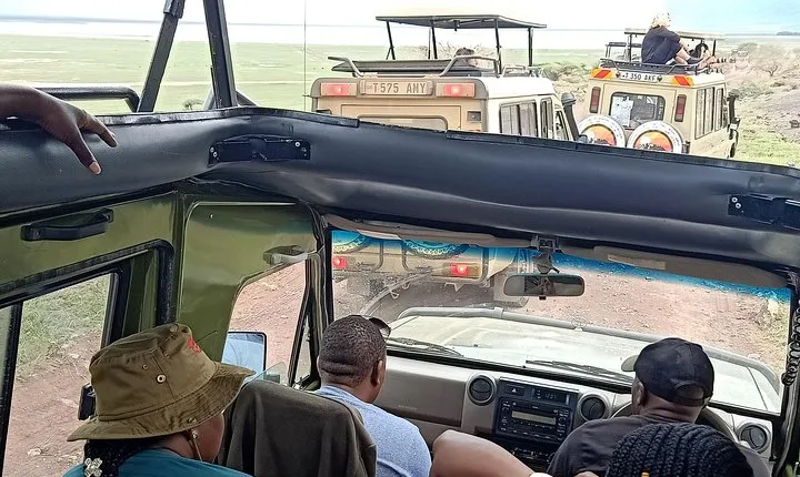 Ngorongoro National Park and Game Drive: Guided Day Tour from Arusha