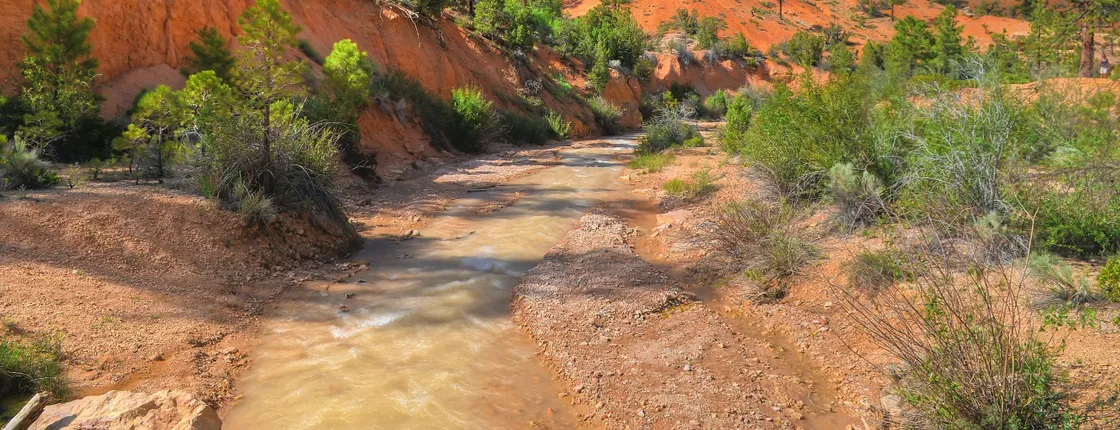 Half-day Horseback Riding Adventure at Bryce Canyon