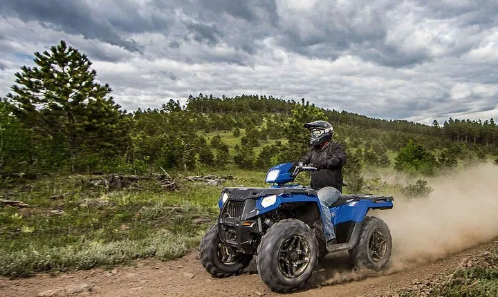 Quad Bike Safari in the Wilderness (ATV)