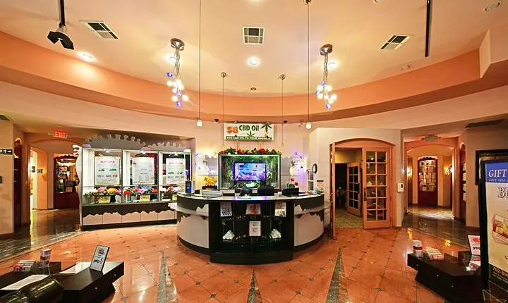 Spa Service: Hot Stone Body Massage with Private Sauna