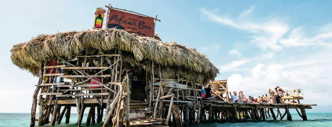 Appleton Rum, YS Falls and Pelican Bar Private Tour