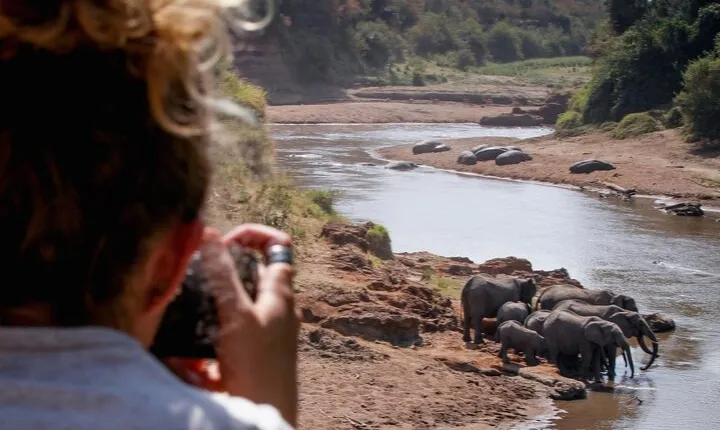 2 Days Maasai Mara Magic Captivating Safari Experience 
