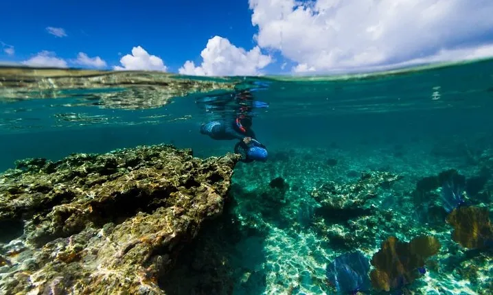 Power Snorkel By Sea Scooters, Food & Tequila Tasting