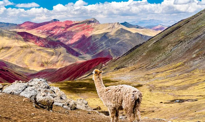 Full-Day Guided Tour to Palccoyo Rainbow Mountain