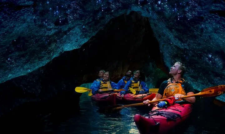 Rotorua: Evening Starlight Gourmet Kayak Tour Glowworms
