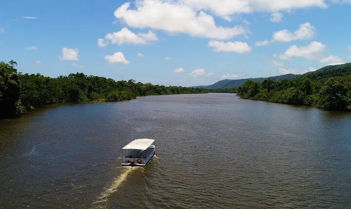 Ultimate Daintree Rainforest Wildlife Experience Cruise