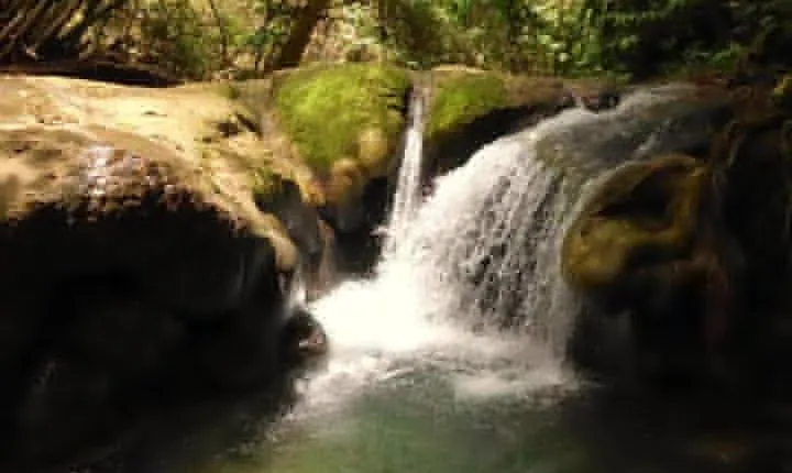 Mayfield Falls nature walk