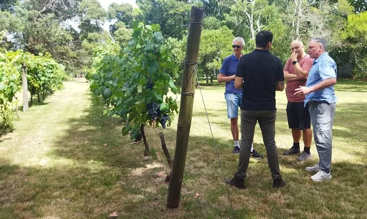 Visit to Legendary Winery in Montevideo