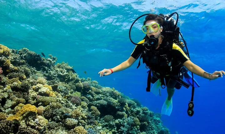 Ras Mohamed and White Island Snorkeling Trip and One Stop Diving-Sharm El Shiekh