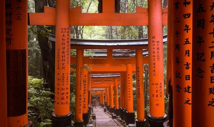 Full Day Kyoto and Nara Tour