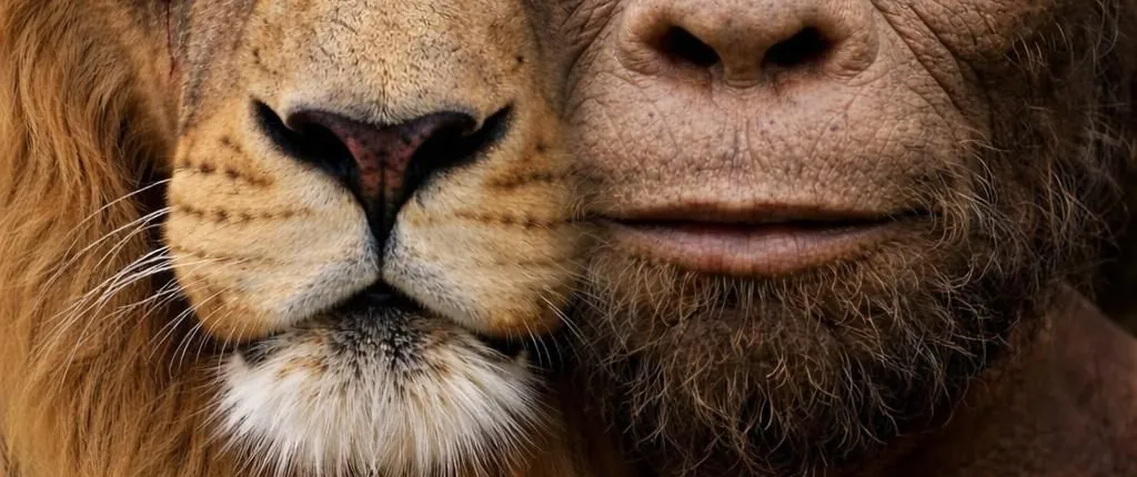 Cradle of Humankind Tour combined with a Lion Safari from Johannesburg