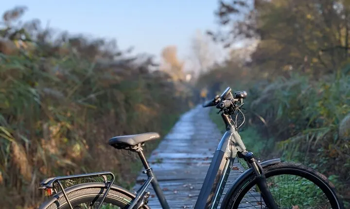 Milano e l'acqua. Tour dei parchi milanesi