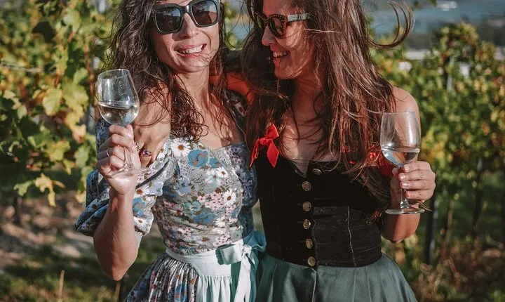 Vienna's Wine Culture: Wine Tasting From Grapes to Your Glass