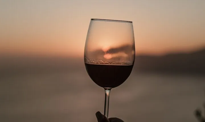 Full Day Private Tour of Baja California Capital of Wine