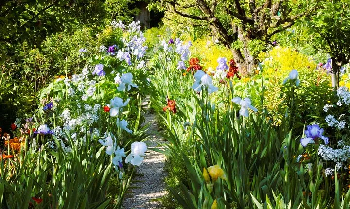 Giverny Claude Monet House & Gardens 5 hour tour from/to Paris