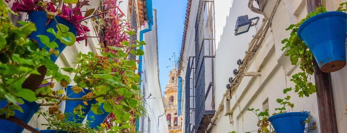 Day trip from Málaga to Córdoba with optional guided tour