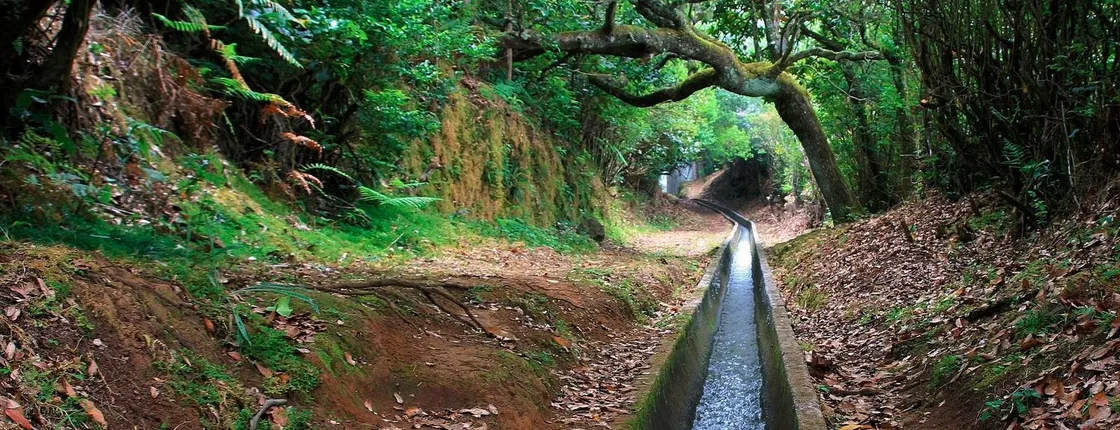 Levada do Furado hiking tour from Ribeiro Frio to Portela