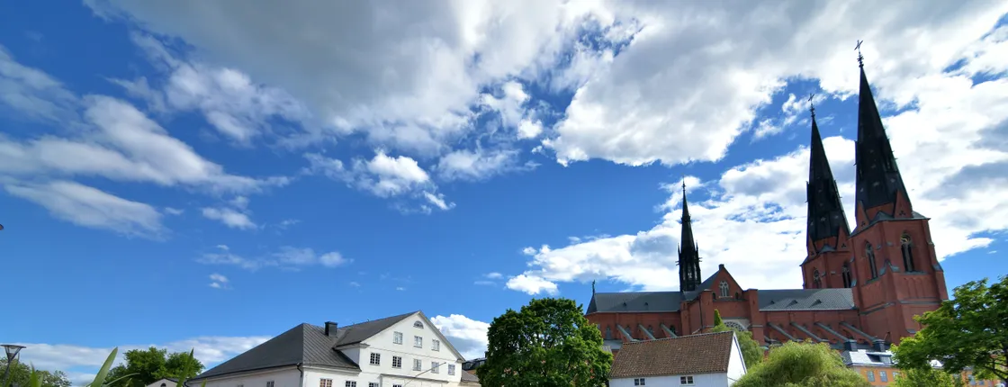 Viking history 3-hour public tour