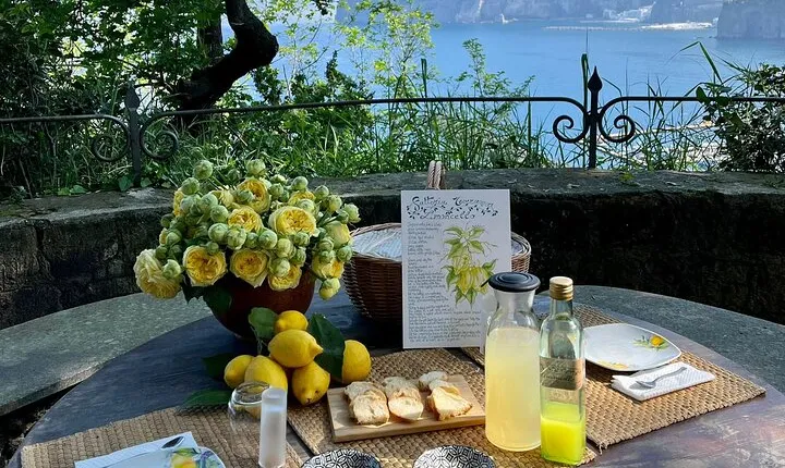 Guided tour of the history and tradition of the Sorrento lemon