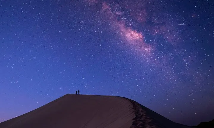 Explore the desert
