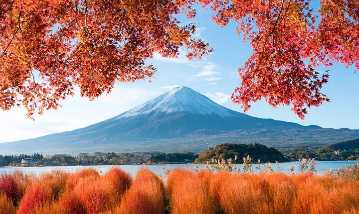 Mt. Fuji Highlight Photo Spots One Day Tour from Tokyo