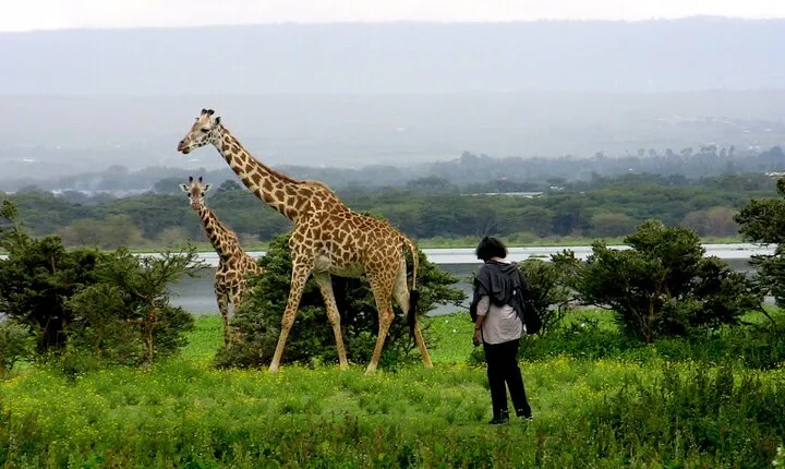 Lake Naivasha Boat ride and Crescent island walk from Nairobi