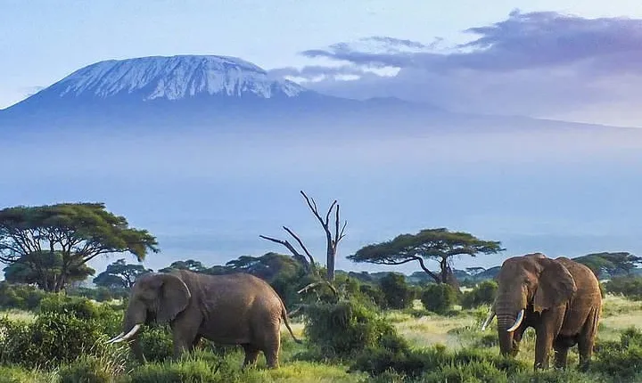 7 Days Mount Kilimanjaro Machame Route Climb.