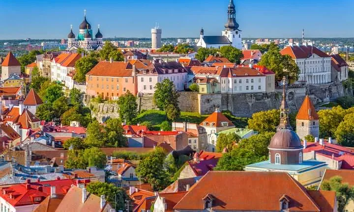 Private walking sightseeing tour in Tallinn