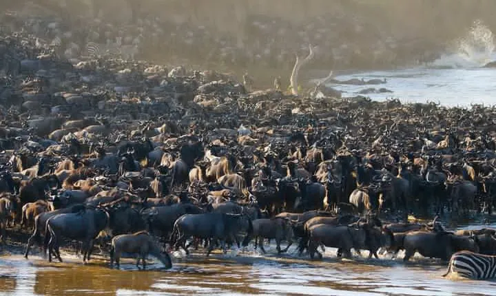 4 Days in the Wild: Explore Cultural Tour, Serengeti & Ngorongoro