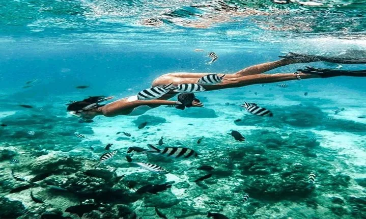 Bali Snorkeling Blue Lagoon and Tanjung Jepun All Included